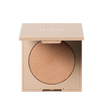 DayLite Highlighting Powder