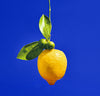 Heretic Parfum-Dirty Lemon Body Mist-Fragrance-lemon-1_48ca5e0e-3c28-4778-bdf5-337f5cdb4e49-The Detox Market | 