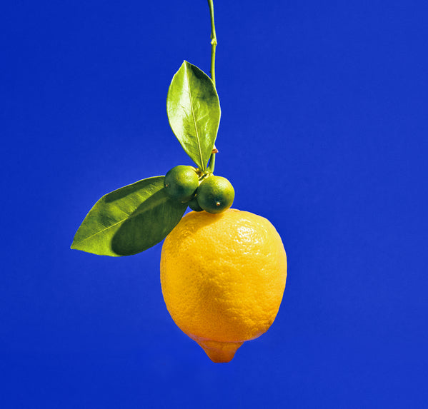 Heretic Parfum-Dirty Lemon Body Mist-Fragrance-lemon-1_48ca5e0e-3c28-4778-bdf5-337f5cdb4e49-The Detox Market | 