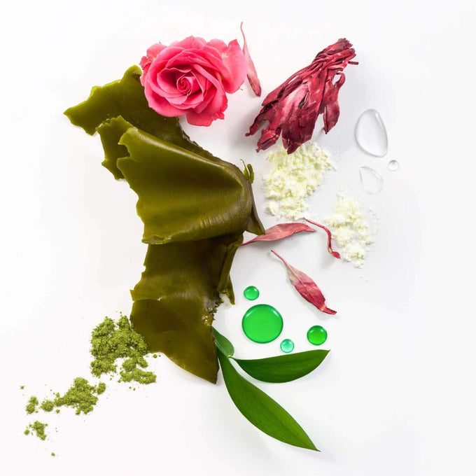 Tata Harper-Bio-Barrier Serum-