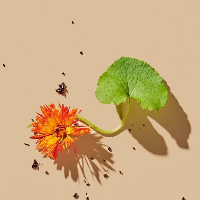 Tata Harper-Refining Cleanser-