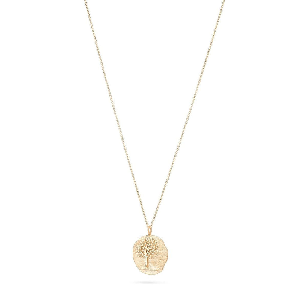 bluboho-Tree of Life Ancient Coin Medallion Necklace - 14k Yellow Gold-